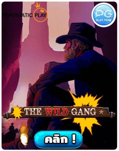 ทดลองเล่น-The-Wild-Gang