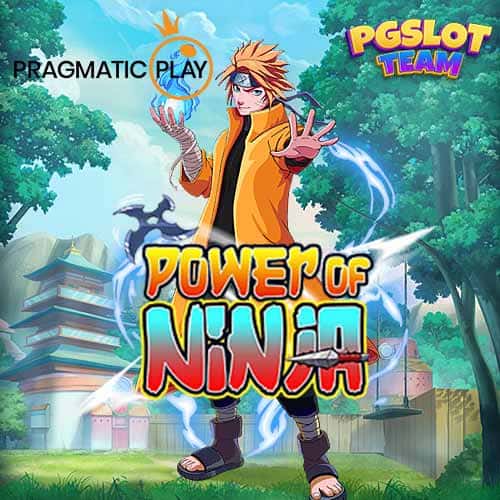 Power of Ninja